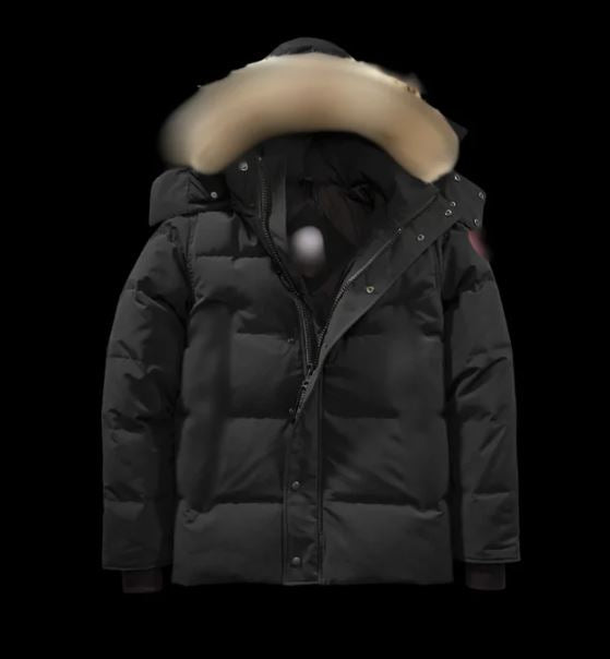 CG PARKA